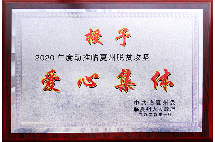 2020年助推臨夏州脫貧攻堅愛心集體